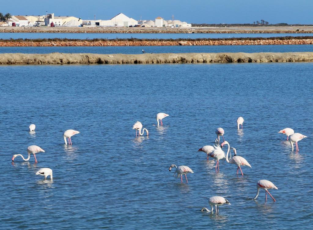 شقة Masquestar Mar Menor توري-باتشيكو المظهر الخارجي الصورة